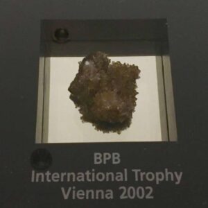 nagroda od International trophy